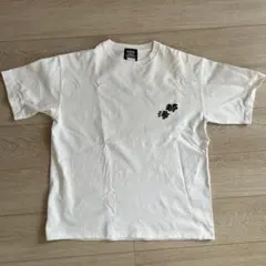 Item thumbnail for item d149621d-fda9-4977-a454-4160fc540b85