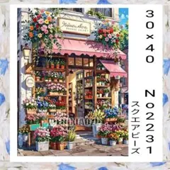 ダイヤモンドアートキット　　No2231