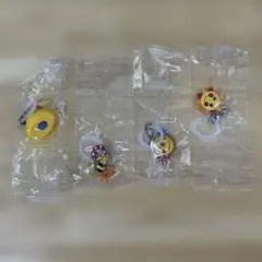 4点セット Sassy めじるしアクセサリー