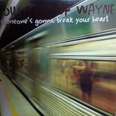 2025年最新】fountains of wayneレコードの人気アイテム - メルカリ