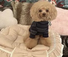 【新品未使用】【ネイビー系／Sサイズ】 あったかボーダータートルです