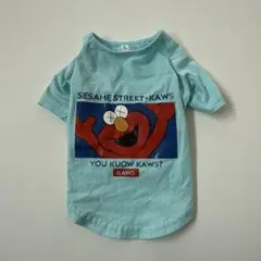 Item thumbnail for item d19fca69-1598-4e89-bb23-d68942cfa255