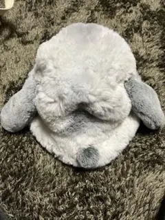 スヌーピー　バケハ