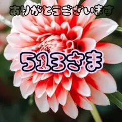 専用ページ513さま
