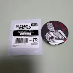BLEACH 京楽春水 マット缶バッジ BLEACH WORLD ver.2 - メルカリ