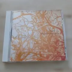 Ryuichi Kawamura Love