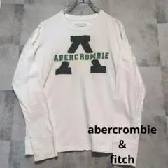abercrombie & fitch アバクロ ヴィンテージ加工 ロンT Lのサムネイル