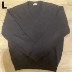 TOPVALU ネイビー Vネックセーター Lサイズ