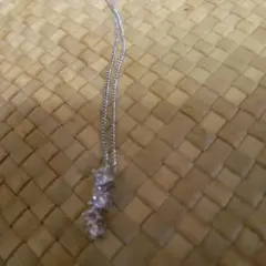 Item thumbnail for item 3842796e-5754-4170-a245-1ff61e621913