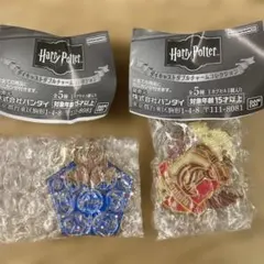 【匿名配送】ハリー・ポッター ダイキャストダブルチャームコレクション
