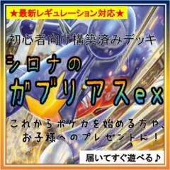 《コンセプト》構築済みデッキH523 シロナのガブリアスex