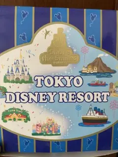 東京ディズニーリゾート キーホルダーセット