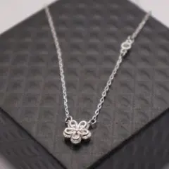 Item thumbnail for item 02a294d6-b87d-43e2-bdcc-d6218cbbeb7c