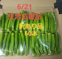 번역이 포함된 오크라 60개 (생활 지원 항목 3개만 해당)