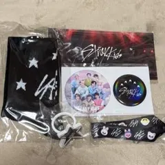 Straykids 5-STAR プレミアムシート グッズ