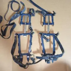 Item thumbnail for item a0fdd756-5215-480f-84a2-215277800cf1