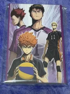 ハイキューくじ　ポストカードブック　烏野　白鳥沢