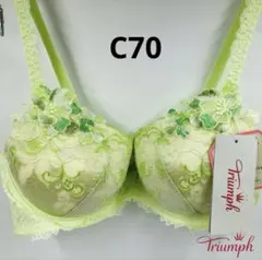トリンプ プレミアム レッドレーベル0073ブラジャー C70