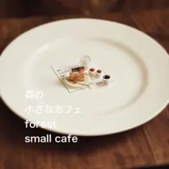 ＊*＊様 苺スイーツセット＊ミニチュア