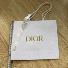 ディオール ショッパー Dior ショップ袋 紙袋のサムネイル