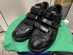 Item thumbnail for item d2e9618e-d440-4541-a5a0-0bcae65a0c6a