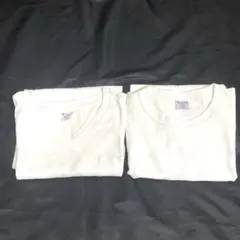 チャンピオン　ホワイト　Tシャツ 2点セット サイズＬ