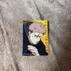 呪術廻戦 虎杖悠仁 呪術廻戦 疾走 特典