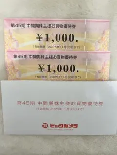 ビックカメラ　中間期　株主様お買い物優待券　2000円分