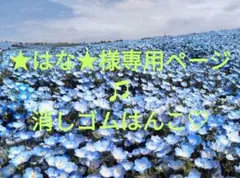 ★はな★様専用ページ♫消しゴムはんこ♡
