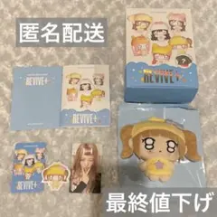 IVE revive petit-ive レイ ぬいぐるみ トレカ セット IVE REVIVE+ PETIT-IVE レイ トレカ ぬいぐるみ - メルカリ