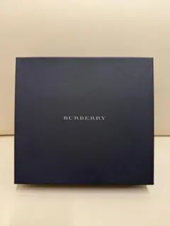 BURBERRY スカーフとポーチのサムネイル