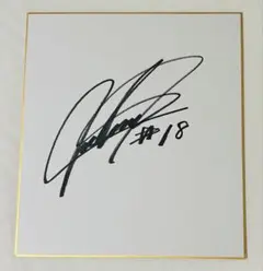 和田毅 プロ野球 直筆サイン色紙 福岡ソフトバンクホークス 春季