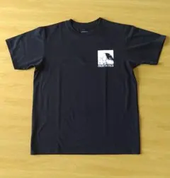 THE NORTH FACE ブラック Tシャツ Lサイズ