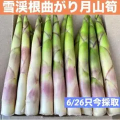 ❤️毎年大人気❣️ 天然 月山筍 箱込み約1キロ 細め 根曲がり竹 姫竹 山菜772のサムネイル