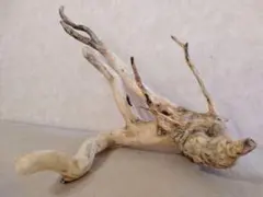 2026年最新】ブランチ 流木の人気アイテム - メルカリ