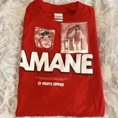 【美品】FRUITSZIPPER 月足天音 セット