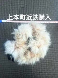 Item thumbnail for item 8c35e77f-95be-4d0f-bc20-d614f122b085