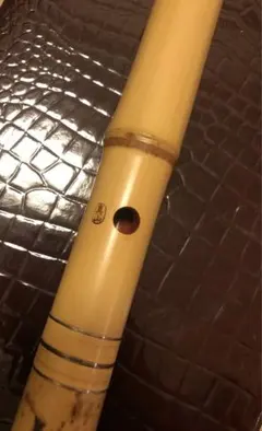 2025年最新】真山 尺八の人気アイテム - メルカリ