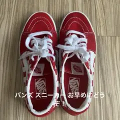 VANS バンズ Anaheim アナハイム ERA 95DX エラ 赤 RED - メルカリ
