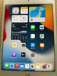 ipad mini 5 cellular