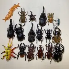 2026年最新】珍しい昆虫標本の人気アイテム - メルカリ