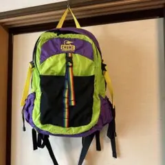 CHUMS Spring バックパック グリーン/パープル