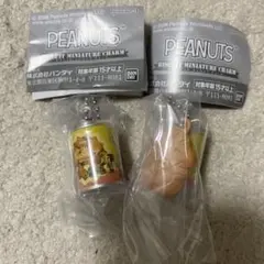 PEANUTS Biscuit Miniature Charm セット
