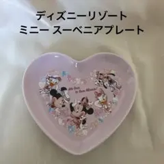 ディズニー ミニー スーベニア プレート 新品未使用