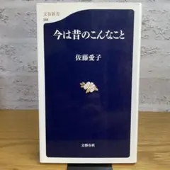 今は昔のこんなこと　佐藤愛子　文春文庫