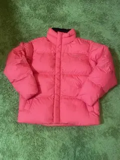 日本未入荷　THE NORTH FACEノースフェイス ホワイトレーベル ダウン