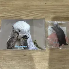 カプくじ 鳥羽水族館 リターンズ メイちゃん ペンスタンド 2個セット