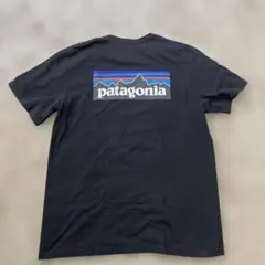 Patagonia パタゴニア Tシャツのサムネイル