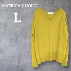 AMERICAN HOLICアメリカンホリック【L】 ニット 長袖 Ｖネック