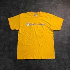 【JERZEES】ナンバリングTシャツアメカジ　ソフトール古着usedSM10